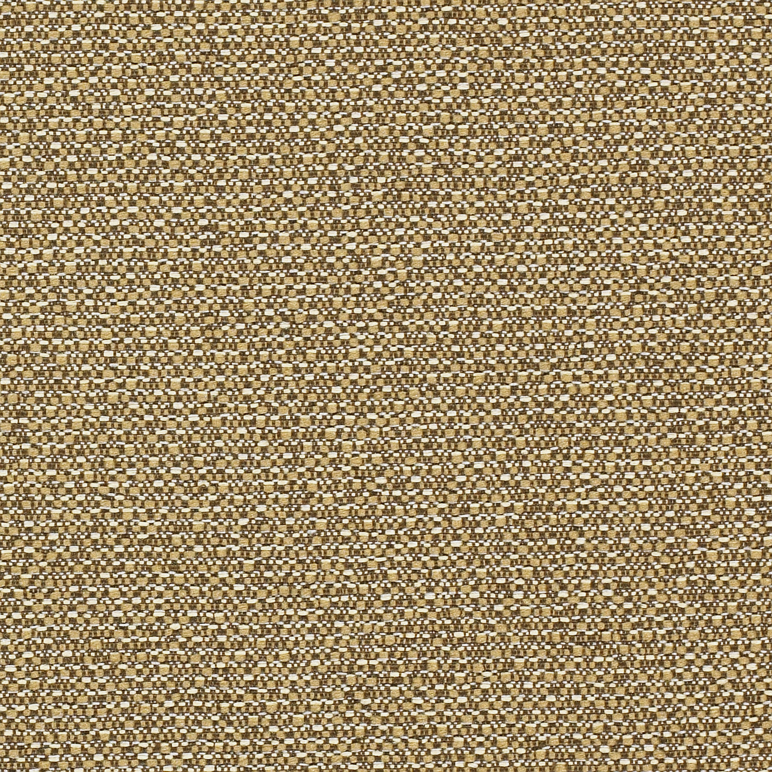 BANGLE-Momentum – BE01-CORK